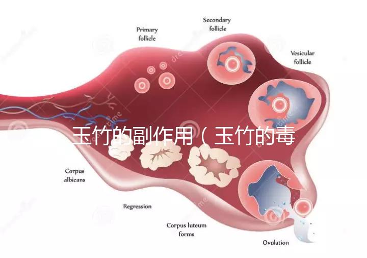 玉竹的副作用（玉竹的毒性有多強？）