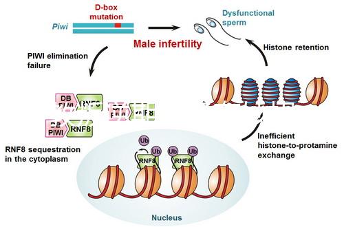 管教叛逆期孩子有妙招，這四個方法遠勝封閉式管理