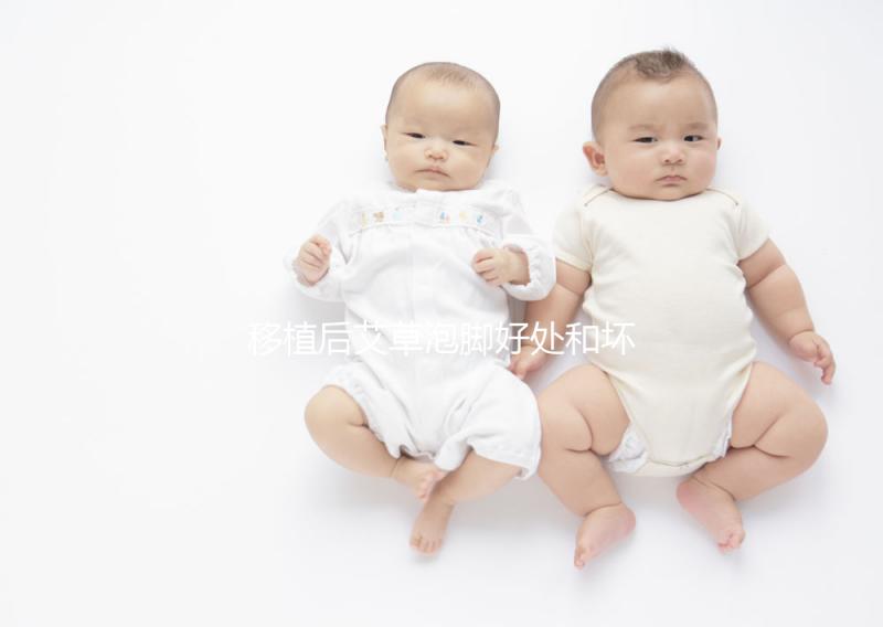 移植后艾草泡腳好處和壞處大PK，想提升試管成功率看過來