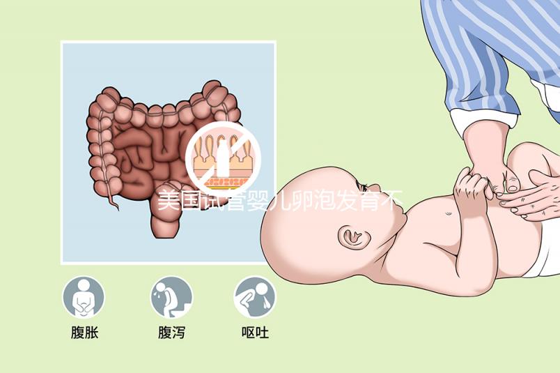 美國試管嬰兒卵泡發(fā)育不好用這3招！養(yǎng)的又大又圓