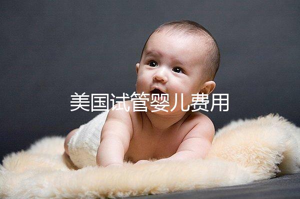 美國試管嬰兒費用
