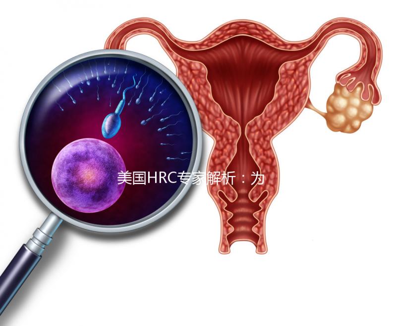美國HRC專家解析:為何用第二代試管嬰兒技術結合精卵?–美國HRC