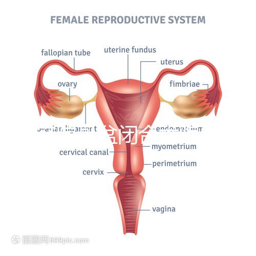 美容院骨盆閉合術騙局公開，不但沒用還會造成損傷要小心