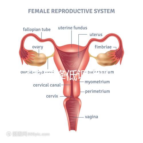 精子密度降低調(diào)理四步走，男性生育制勝法寶趕緊看看