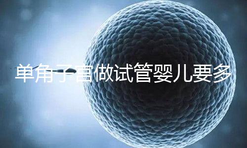 單角子宮做試管嬰兒要多少錢？移植2個至少需要這個數字