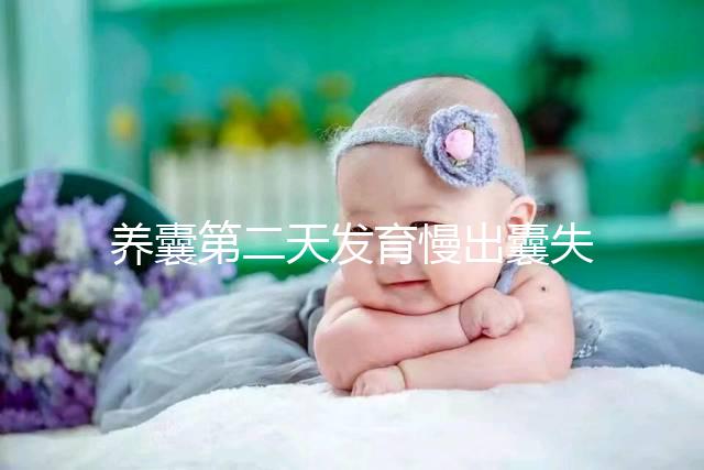 養囊第二天發育慢出囊失敗還有戲!前提:第三天繼續培育