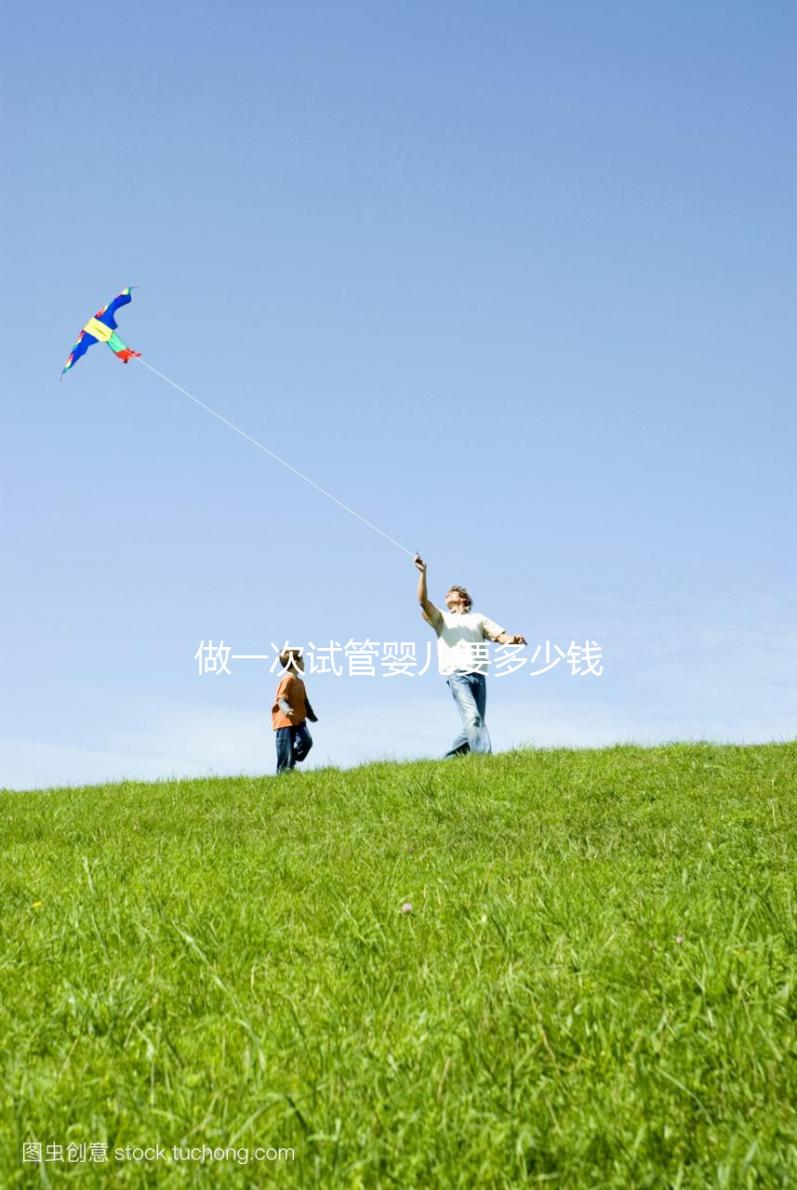 做一次試管嬰兒要多少錢？