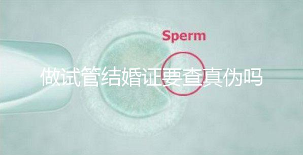 做試管結婚證要查真偽嗎(做試管結婚證要查真偽嗎多少錢)