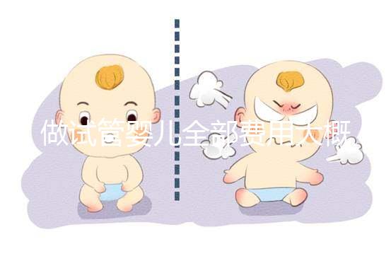 做試管嬰兒全部費用大概是多少（做試管嬰兒全部費用大概是多少錢）