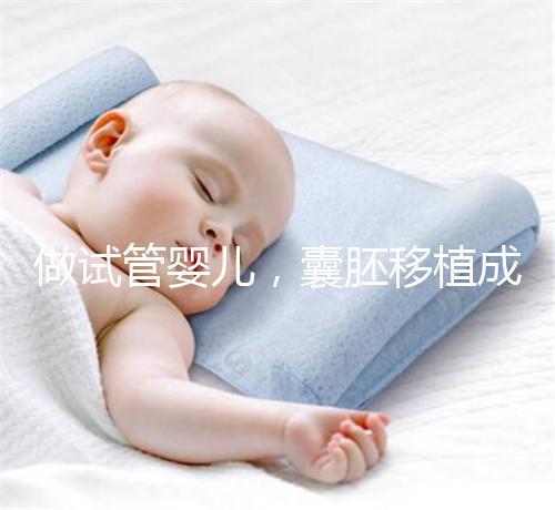 做試管嬰兒，囊胚移植成功懷孕的幾率更高？