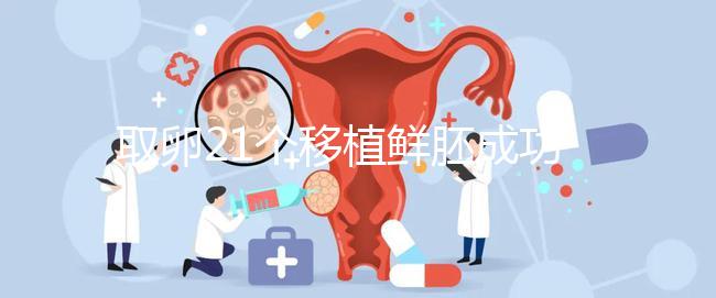 取卵21個移植鮮胚成功率真不低，前提：等卵巢恢復后再手術