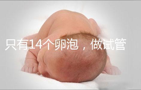 只有14個(gè)卵泡，做試管嬰兒到底要不要養(yǎng)囊？