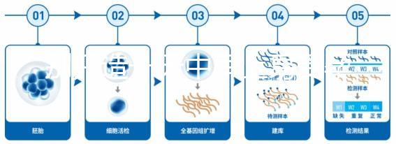 別只造一天中早上易受孕生男孩，60秒教你算出最佳同房時間