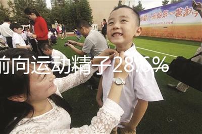 前向運動精子28.6%正常揭秘,會怎么整理?