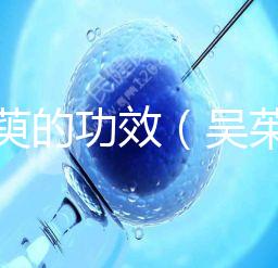 吳茱萸的功效（吳茱萸上火還是降火）