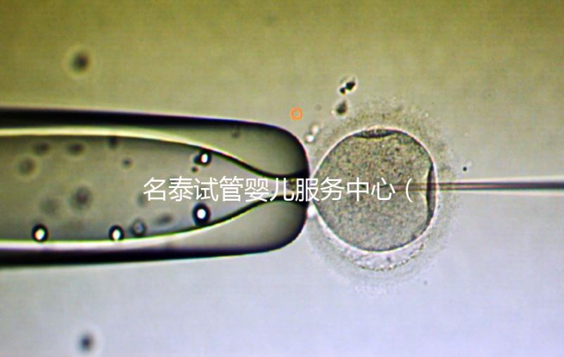 名泰試管嬰兒服務中心(名泰試管嬰兒服務中心怎么樣)