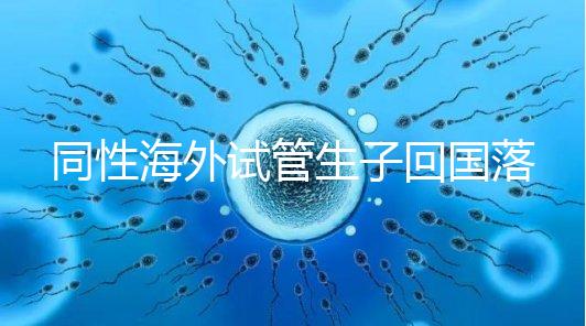 同性海外試管生子回國落戶講方法，男同上戶過程更復雜