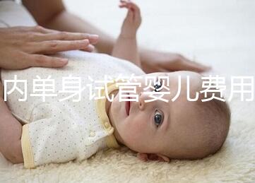 國內(nèi)單身試管嬰兒費(fèi)用大概要多少錢一次?附費(fèi)用明細(xì)!