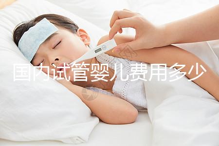 國內試管嬰兒費用多少