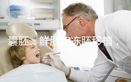 囊胚、鮮胚和凍胚移植,哪一種移植成功率更高?