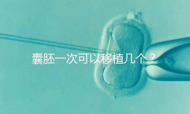 囊胚一次可以移植幾個？