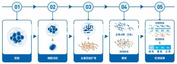 圖解:試管嬰兒手術(shù)全過(guò)程
