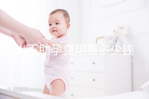 人工助孕費(fèi)用是多少錢