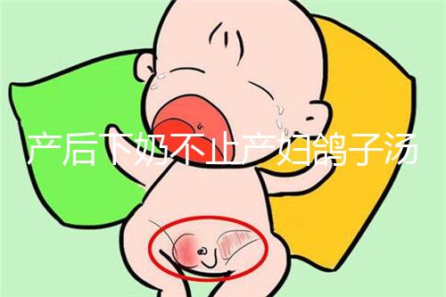 產后下奶不止產婦鴿子湯！坐月子催乳食物大匯總