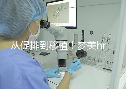 從促排到移植!夢美hrc試管嬰兒流程共7步