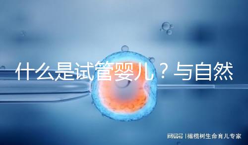什么是試管嬰兒？與自然懷孕的小孩有區(qū)別嗎？一文告訴你！