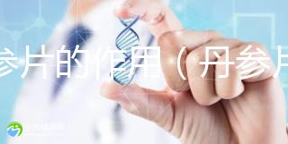 丹參片的作用(丹參片最大害處)