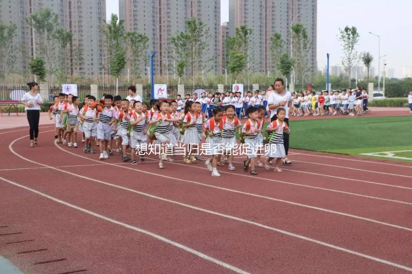 想知道當(dāng)歸是否能促進卵泡發(fā)育,加入棗也能補充內(nèi)膜