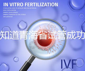 想知道青海省試管成功率多高看過(guò)來(lái),助孕案例幫你揭開謎團(tuán)