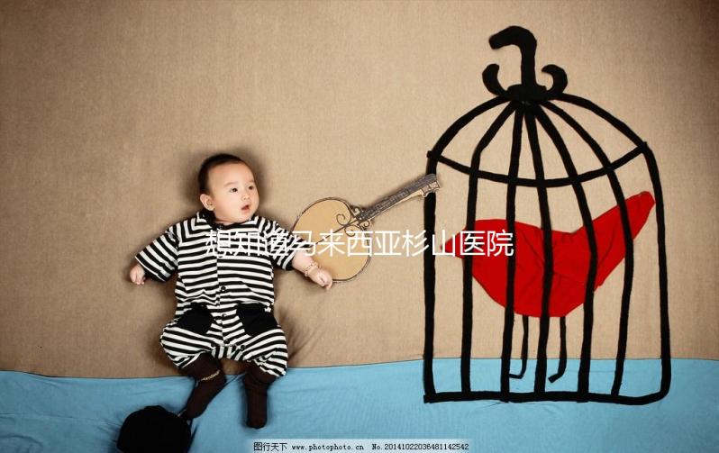 想知道馬來西亞杉山醫(yī)院試管嬰兒治療費(fèi)用清單嗎？看這里