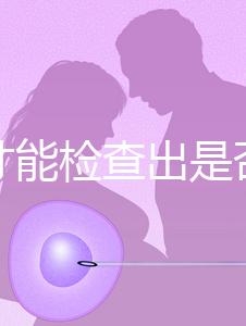 怎樣才能檢查出是否懷孕？