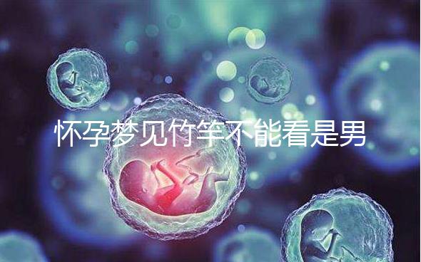 懷孕夢(mèng)見竹竿不能看是男孩or女孩,解讀胎夢(mèng)預(yù)兆別太主觀