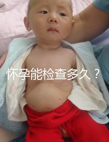 懷孕能檢查多久？