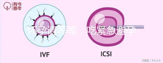 懷孕請等等，吃緊急避孕藥多久能有性生活看專家怎么說