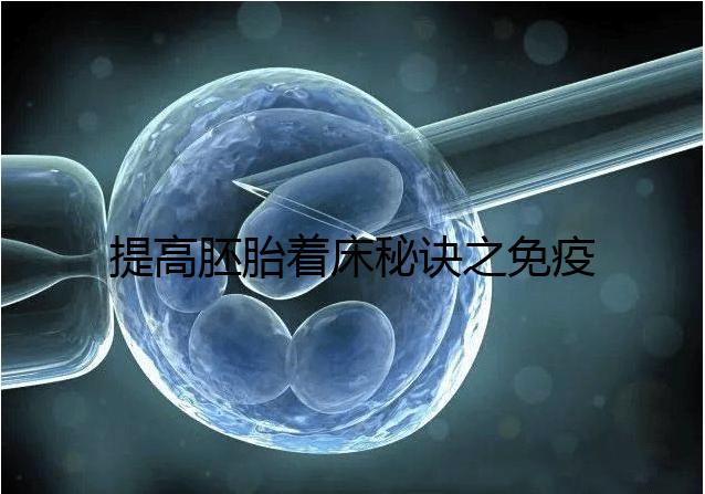 提高胚胎著床秘訣之免疫球蛋白，移植前后注射作用竟不同