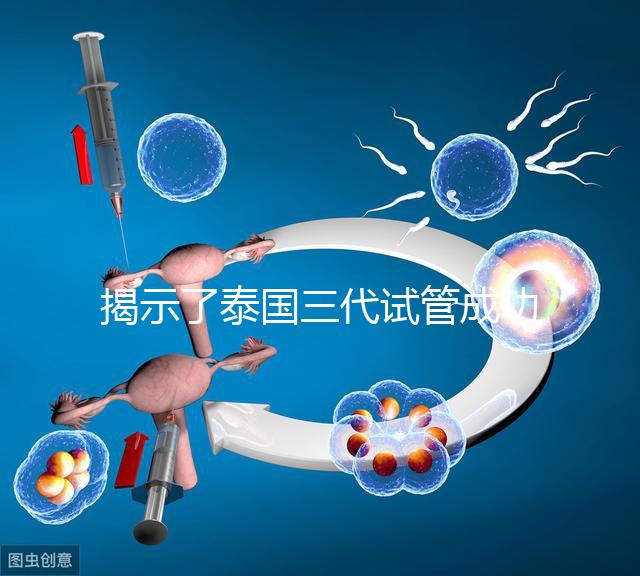 揭示了泰國三代試管成功率高的原因，以及優(yōu)秀的技術(shù) 完美結(jié)合全方位服務(wù)