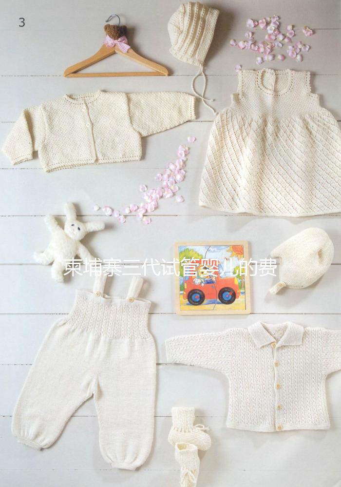 柬埔寨三代試管嬰兒的費(fèi)用、成功率、流程一文說明!