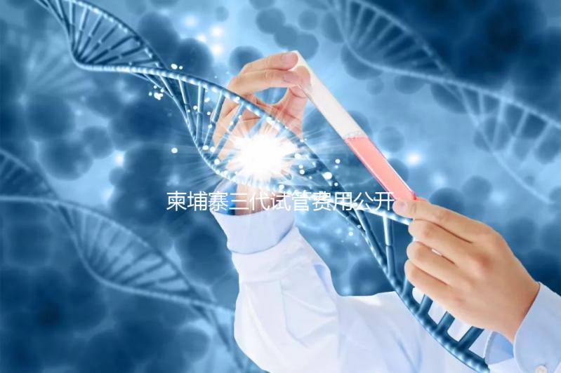 柬埔寨三代試管費用公開，不同項目價格不同