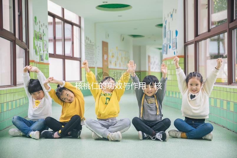 核桃仁的功效與作用(核桃仁的功效與作用及營養(yǎng)價(jià)值)