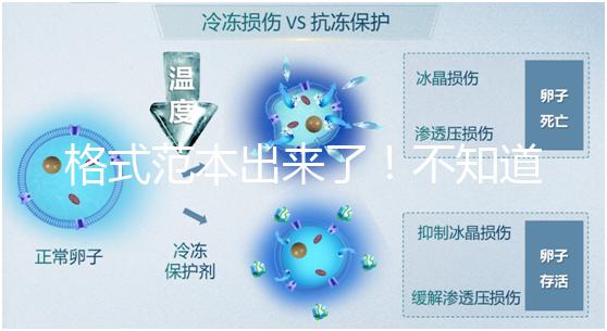 格式范本出來了!不知道出生證明遺失申請(qǐng)書怎么寫看這兒