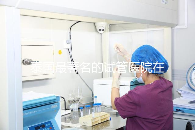 泰國最著名的試管醫院在哪里最好?推薦助孕機構名單