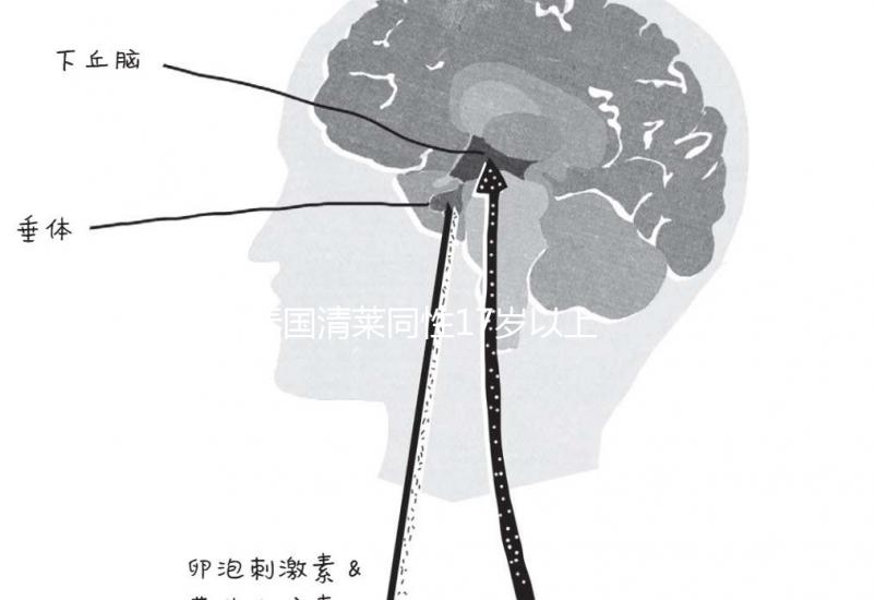 泰國清萊同性17歲以上便能結婚，在國內承不承認進來看