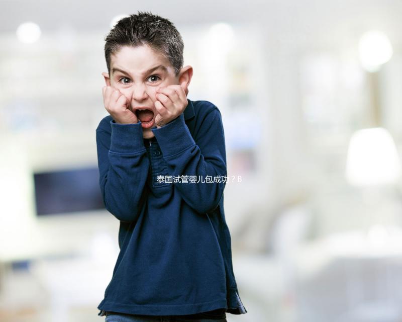 泰國(guó)試管嬰兒包成功？BNH談失敗，不懷孕就退款是騙局