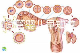 泰國試管嬰兒早知道，威它尼醫院Vejthani圖文攻略