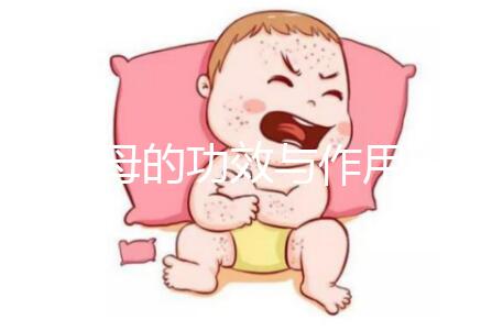 浙貝母的功效與作用(浙貝母的最大害處)