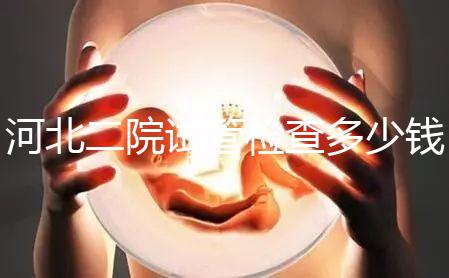 河北二院試管檢查多少錢公布，項(xiàng)目不同價(jià)格自然有所差異